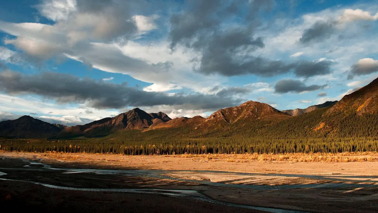 Denali Park Road Timed Entry (2020) photo