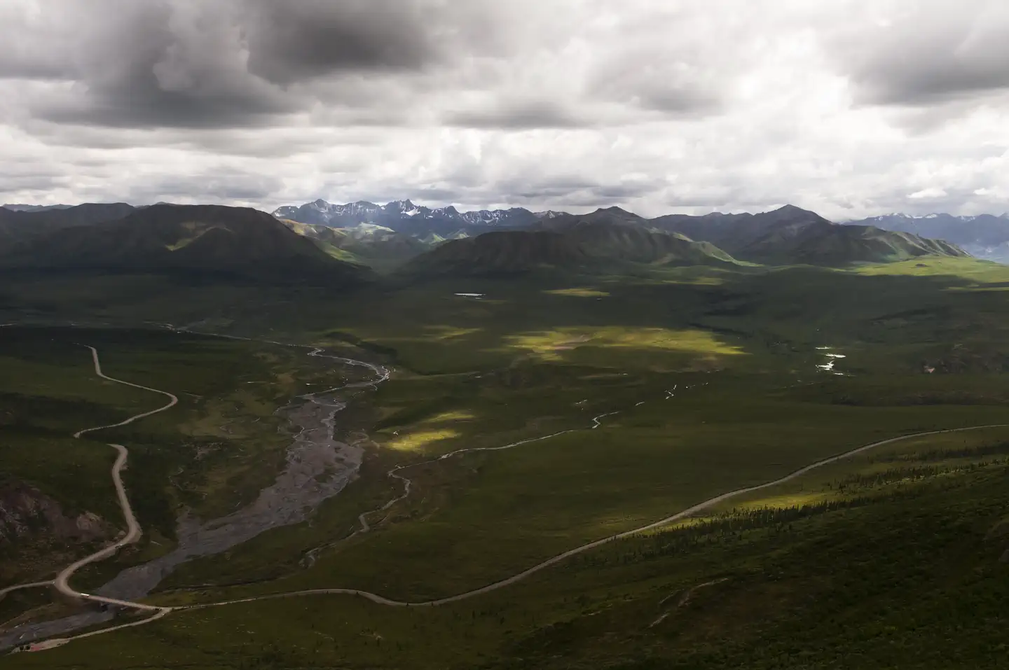 Denali Park Road Timed Entry (2020) photo 5