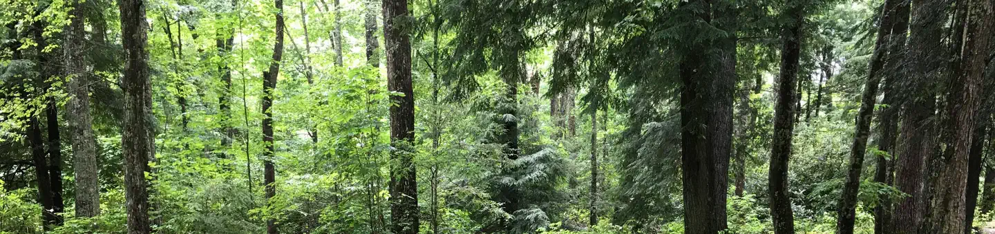 DENNIS COVE CAMPGROUND photo