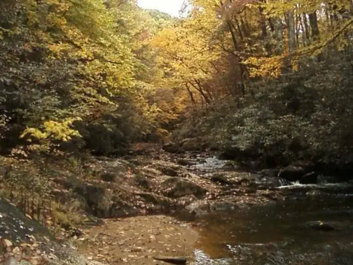 DENNIS COVE CAMPGROUND photo 3