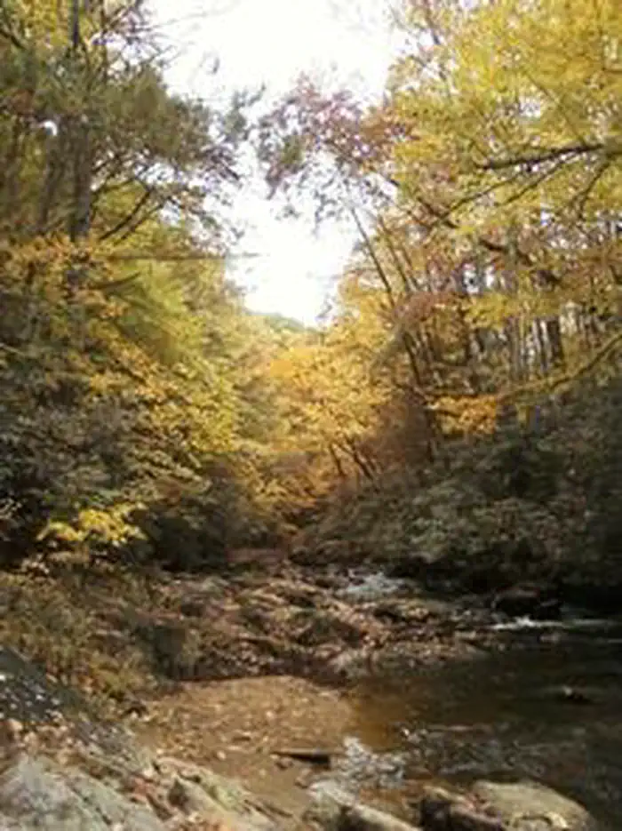 DENNIS COVE CAMPGROUND photo 4