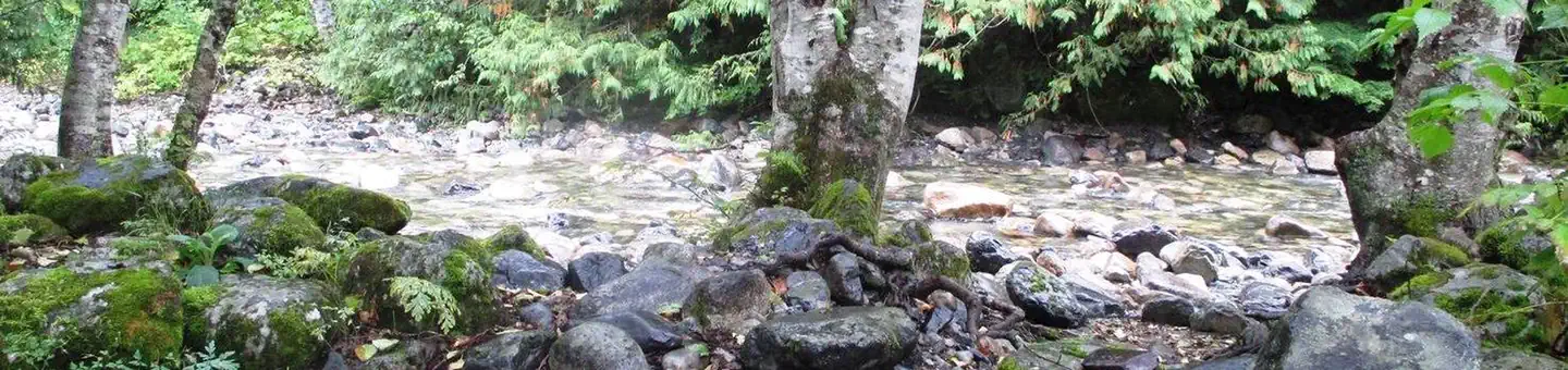 Denny Creek Campground photo