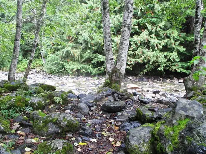 Denny Creek Campground photo 2