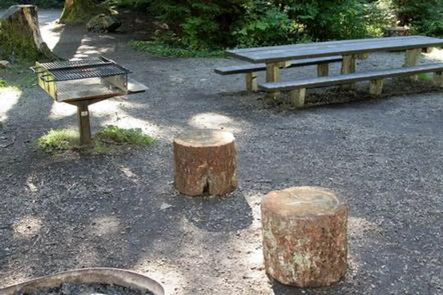 Denny Creek Campground photo 4