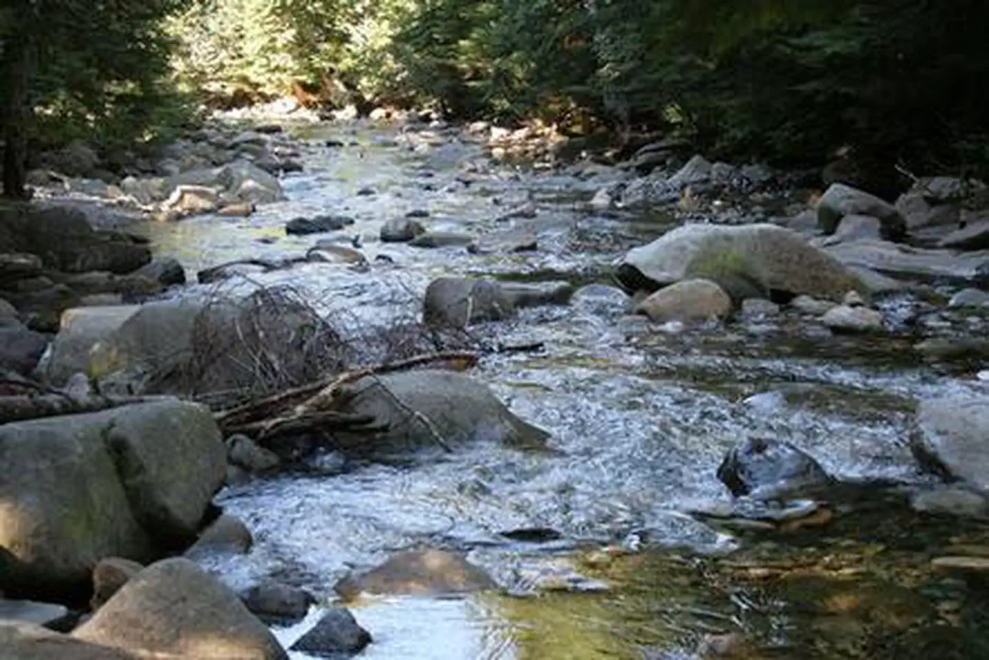 Denny Creek Campground photo 5