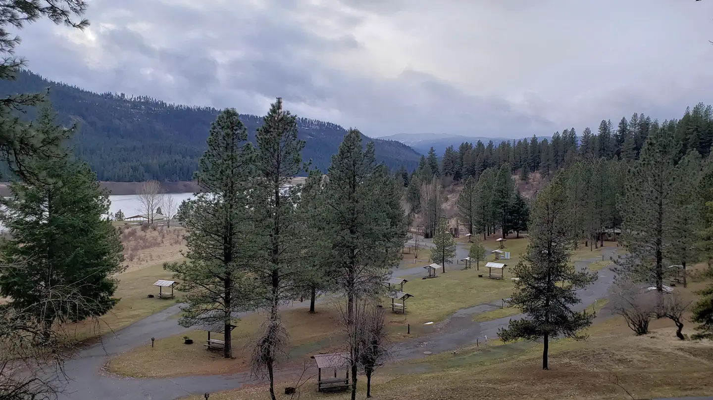 DENT ACRES photo