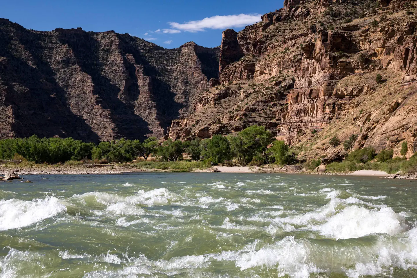 Desolation Gray - Green River Permit photo 5