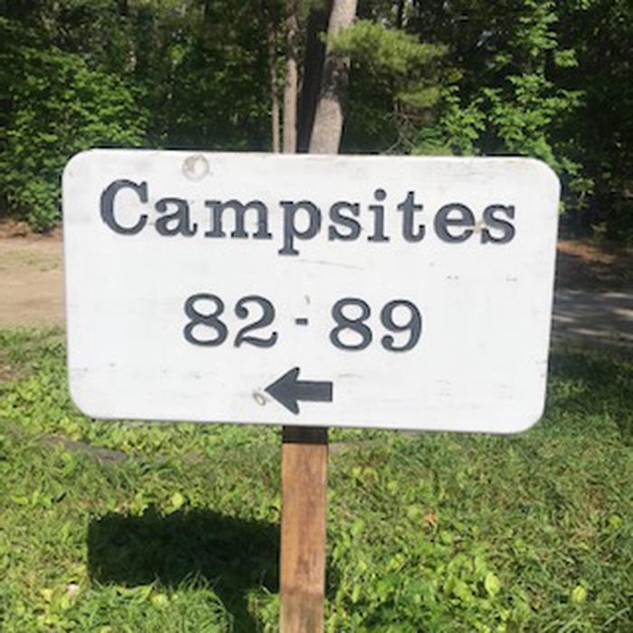 D.H. Day Campground photo 5