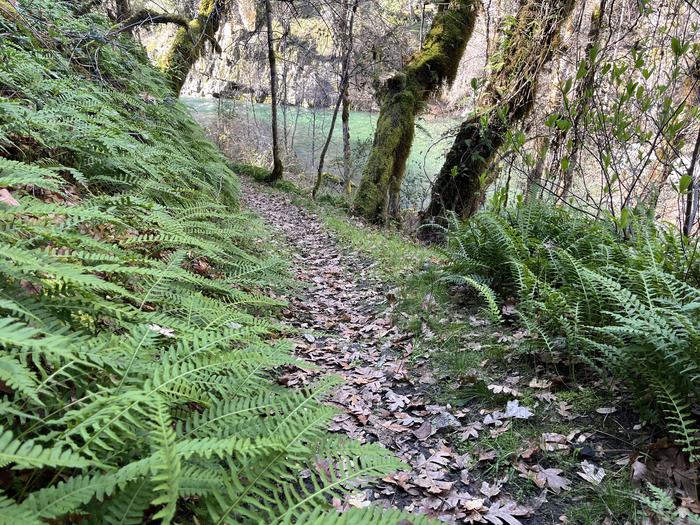 DILLON CREEK CAMPGROUND photo 3
