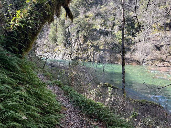 DILLON CREEK CAMPGROUND photo 4