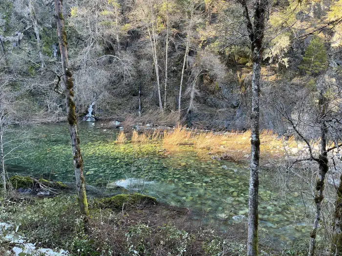 DILLON CREEK CAMPGROUND photo 5