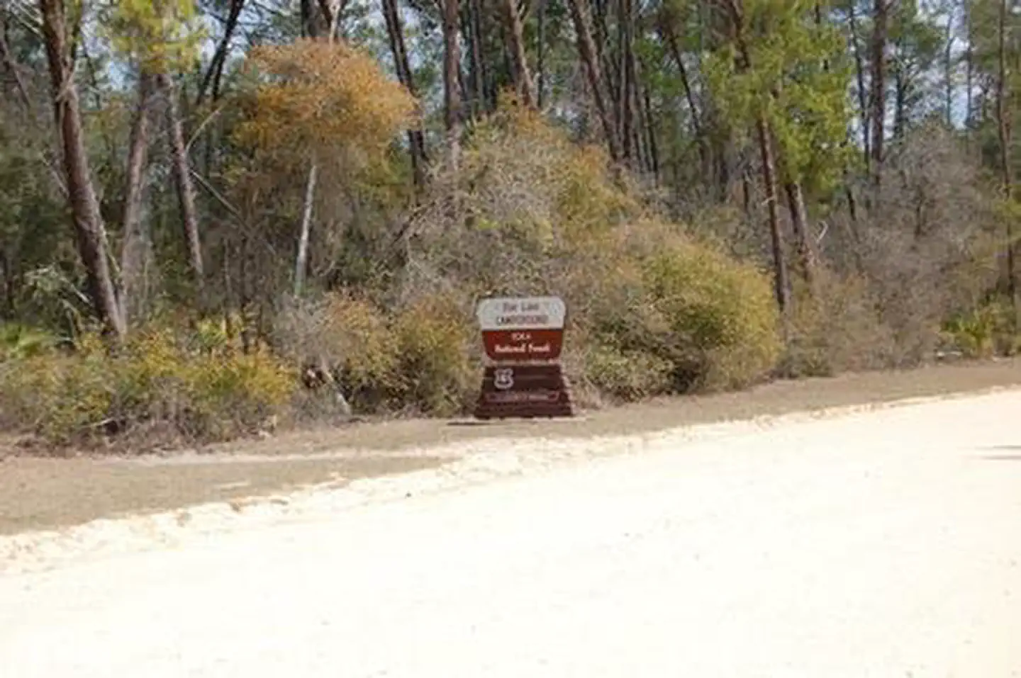 DOE LAKE GROUP SITE photo 5