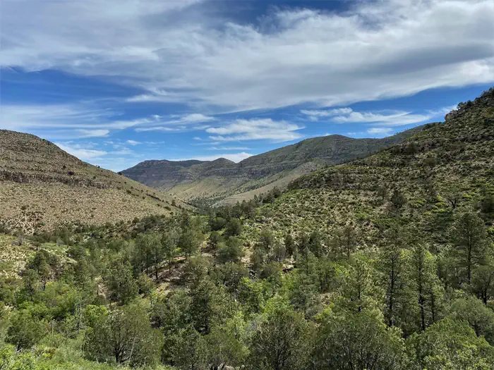 Dog Canyon Campground photo 4