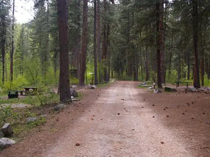 DOG CREEK (ID) photo 2