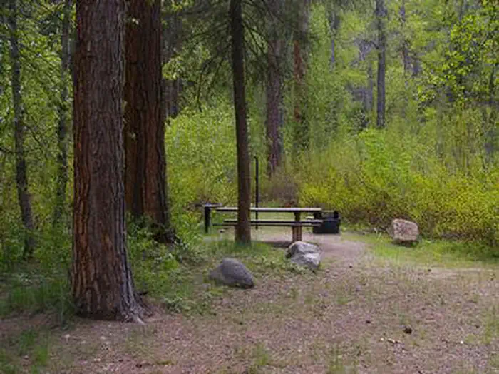 DOG CREEK (ID) photo 5