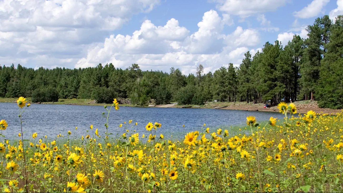 DOGTOWN LAKE CAMPGROUND AND GROUP photo