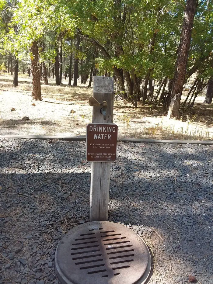 DOGTOWN LAKE CAMPGROUND AND GROUP photo 5