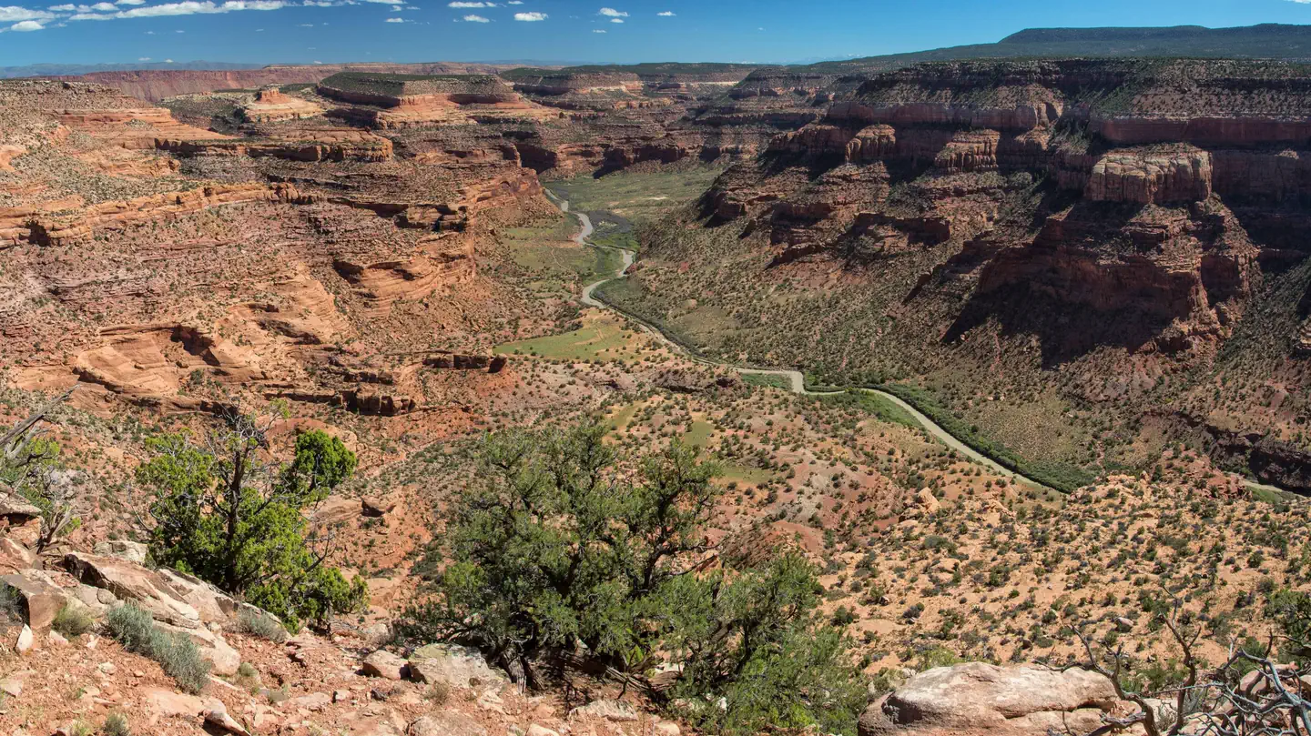 Dolores River Permits (Gateway, CO to Dewey Bridge, UT) photo