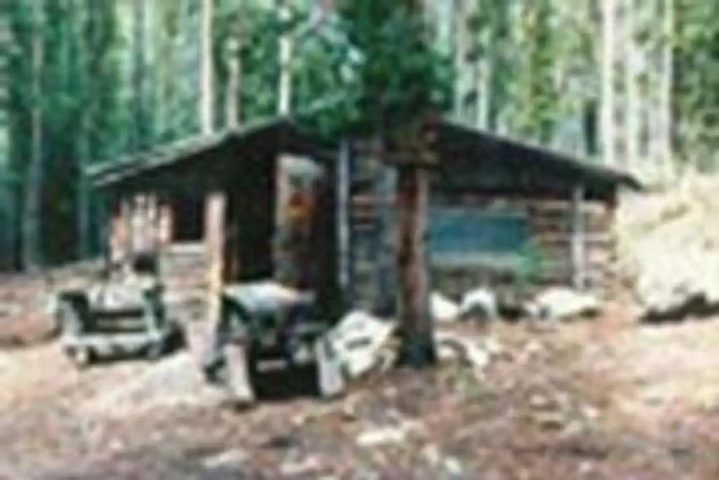 DONEY CABIN photo