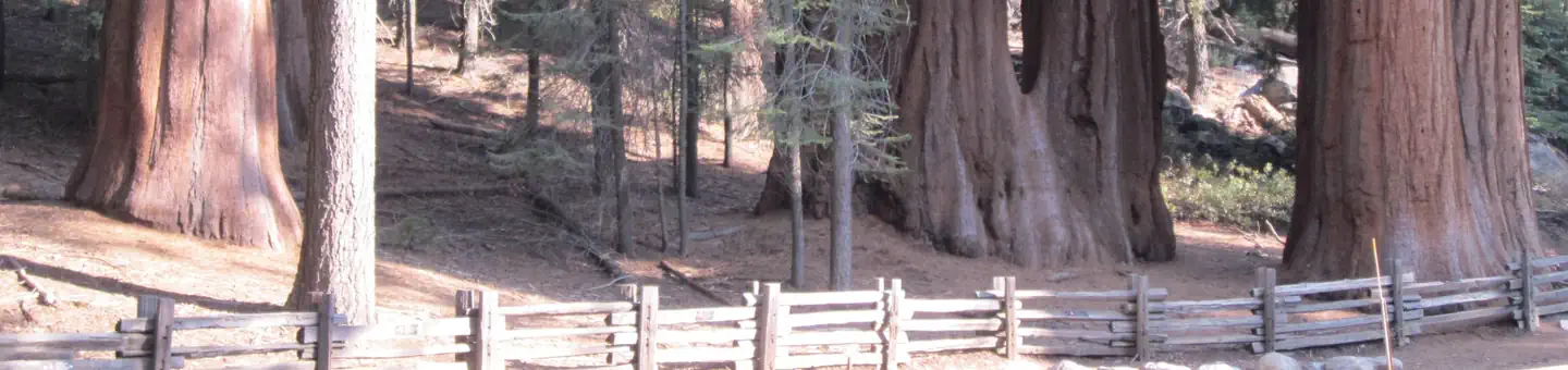 Dorst Creek Campground-Sequoia and Kings Canyon National Park photo