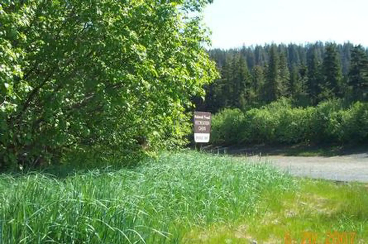 DOUBLE BAY CABIN photo 4