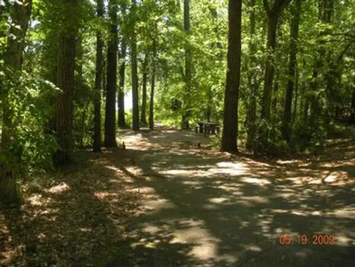 DOUBLE LAKE RECREATION AREA photo 3