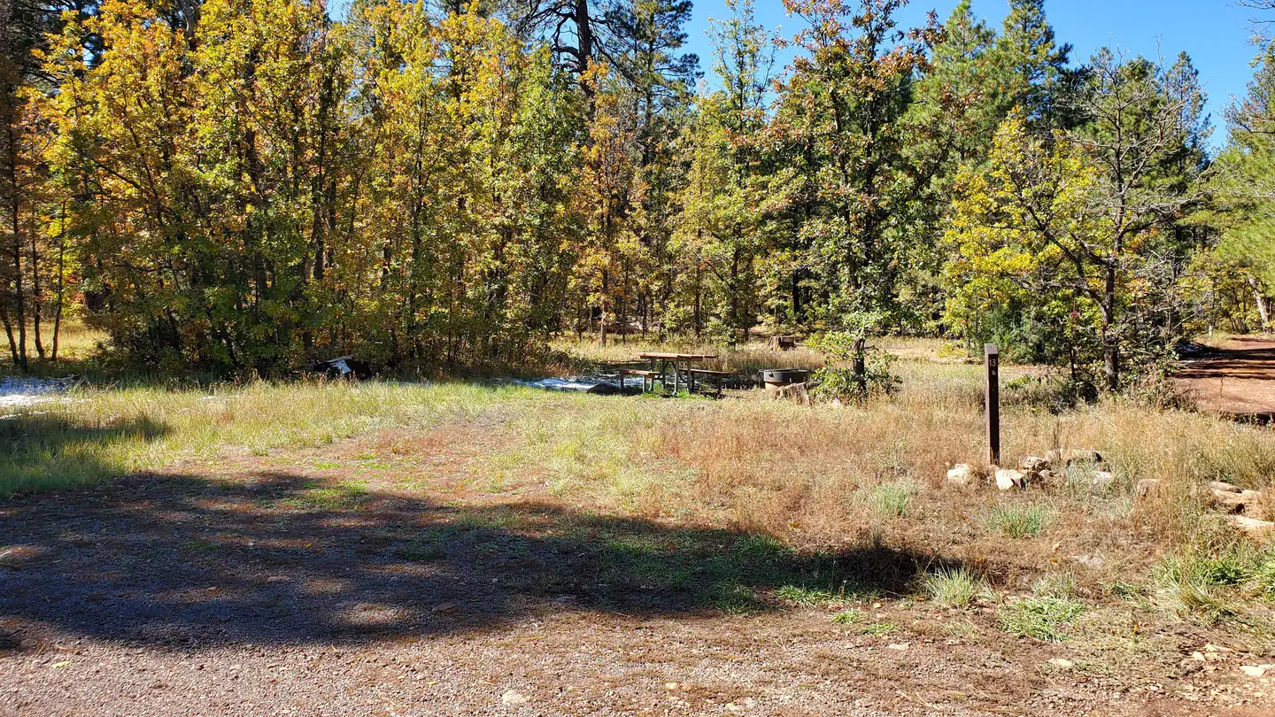 Double Springs photo