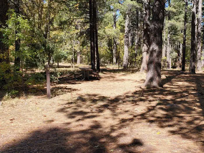 Double Springs photo 3