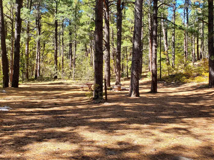 Double Springs photo 4