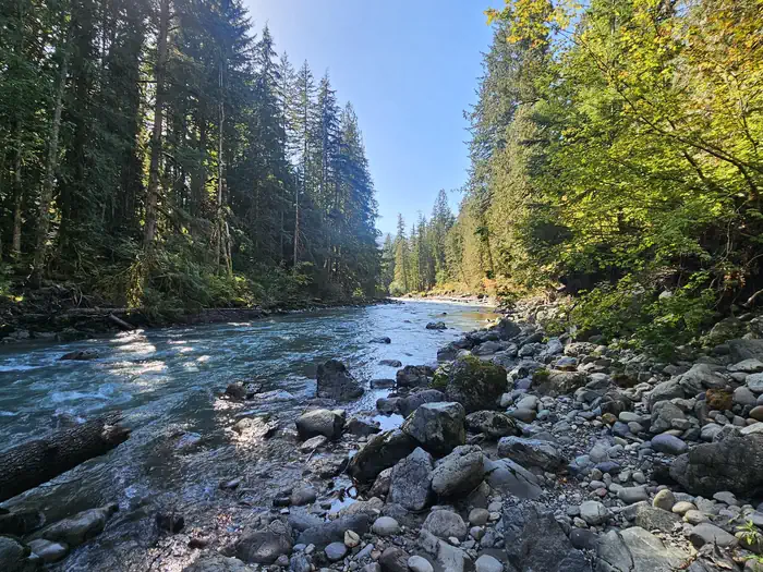 Douglas Fir Campground photo 2
