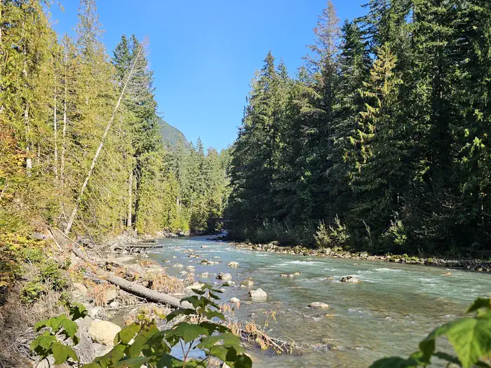 Douglas Fir Campground photo 3