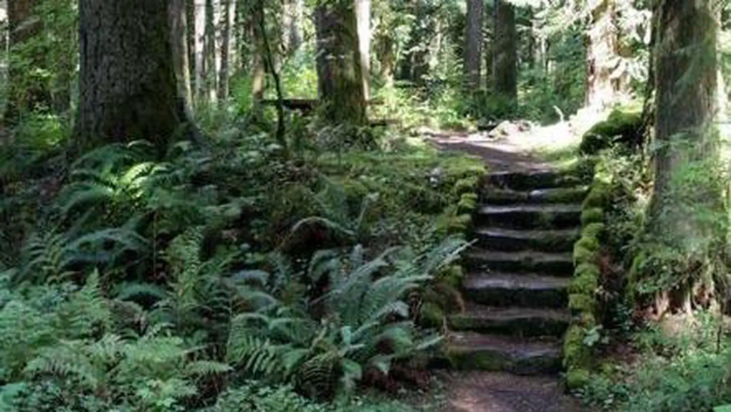 Douglas Fir Campground photo 5
