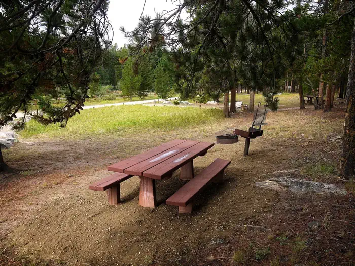 DOYLE CREEK CAMPGROUND photo 2