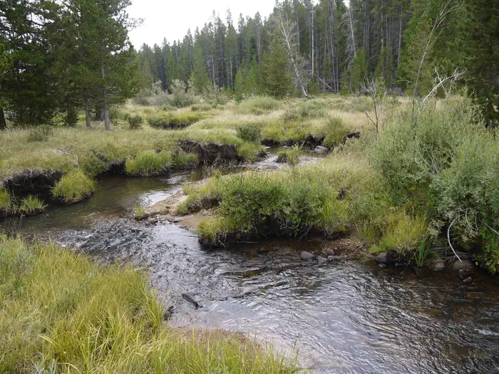 DOYLE CREEK CAMPGROUND photo 3