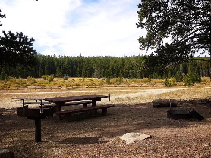DOYLE CREEK CAMPGROUND photo 4