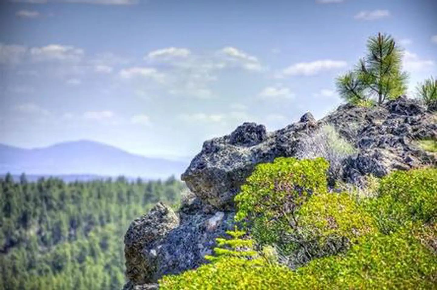 DRIFTWOOD CAMPGROUND - DESCHUTES photo 3