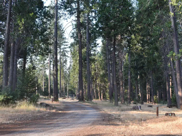 Dru Barner Campground photo 3