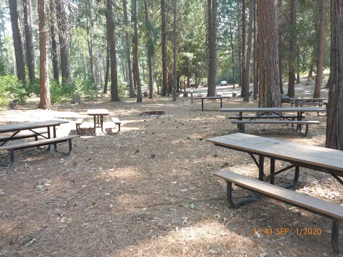 Dru Barner Campground photo 4