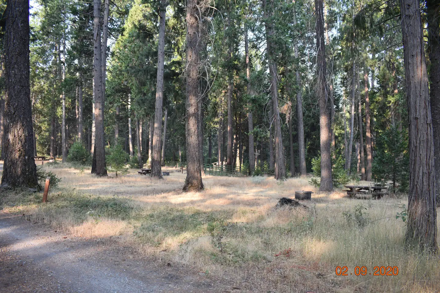 Dru Barner Campground photo 5