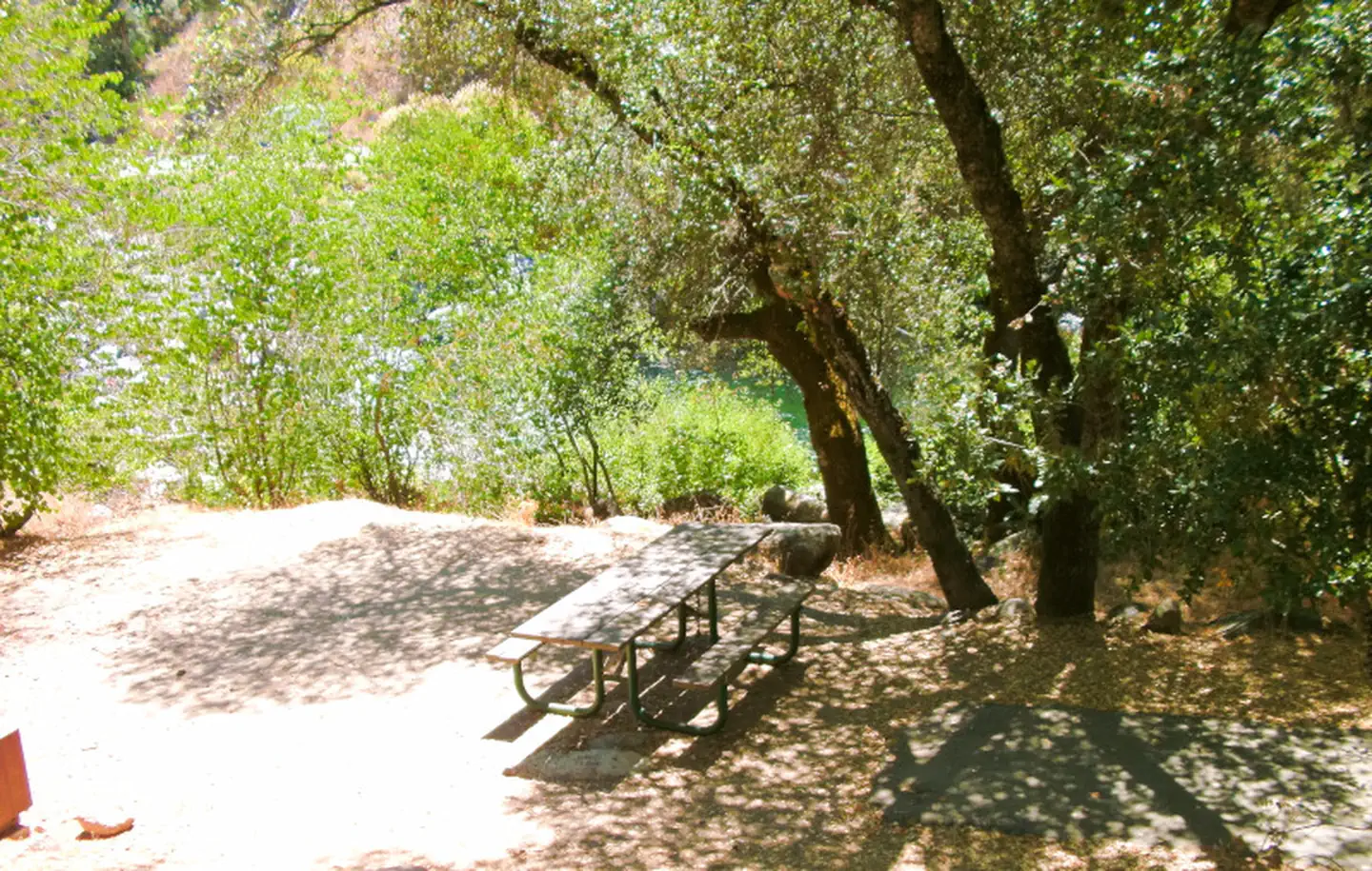 DRY GULCH photo 3