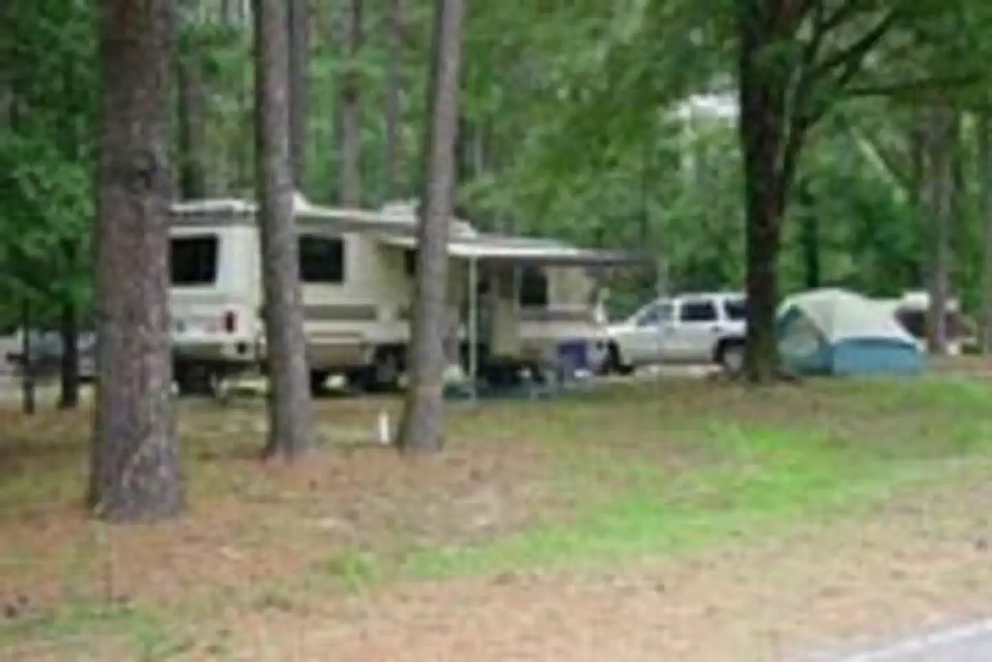 Dub Patton Campground photo