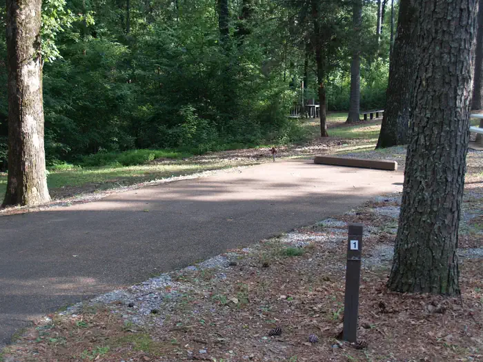 Dub Patton Campground photo 3