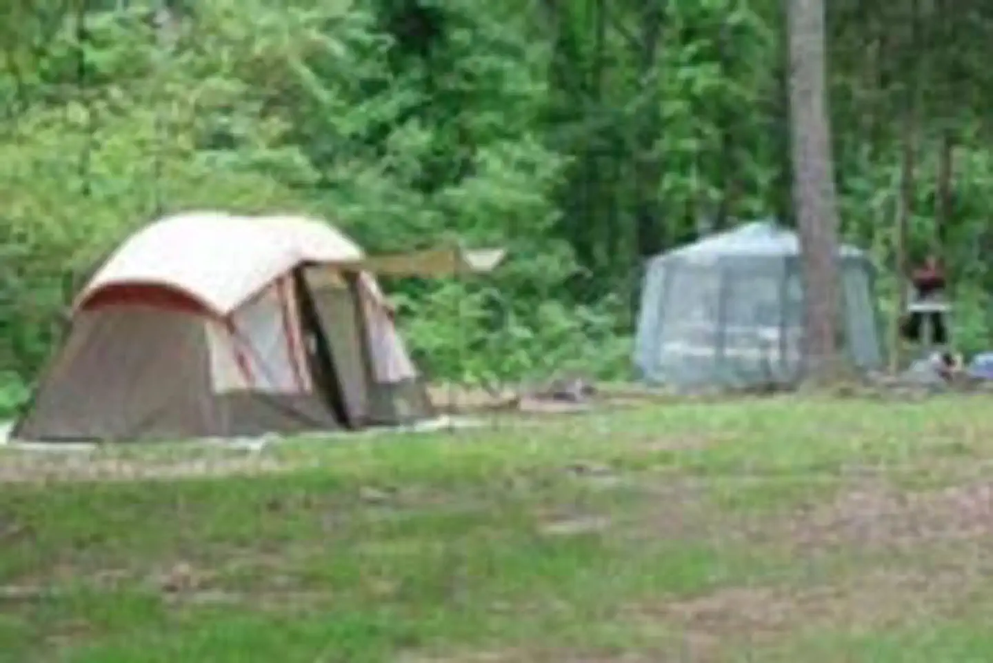 Dub Patton Campground photo 5