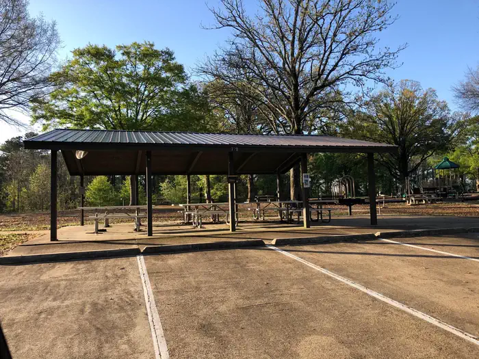Dub Patton Pavilion photo 2