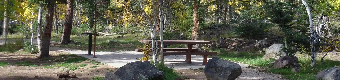 DUCK CREEK photo