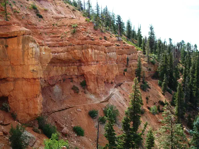 DUCK CREEK photo 2
