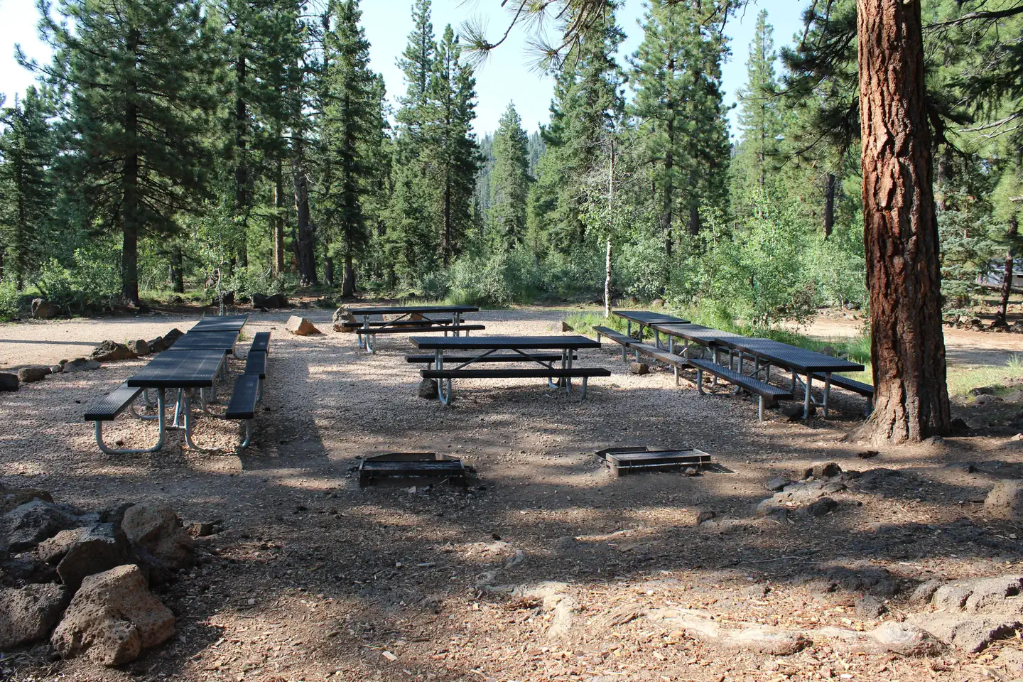 DUCK CREEK photo 3
