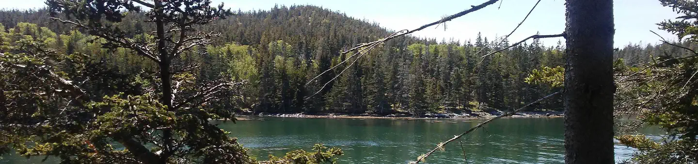 DUCK HARBOR CAMPGROUND photo