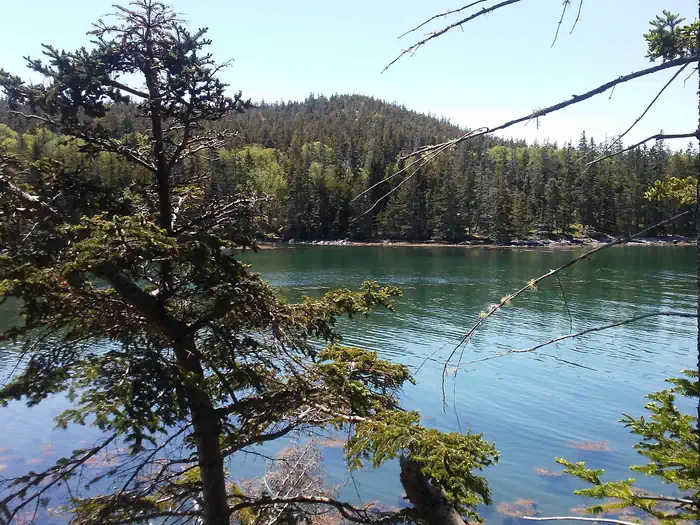 DUCK HARBOR CAMPGROUND photo 5