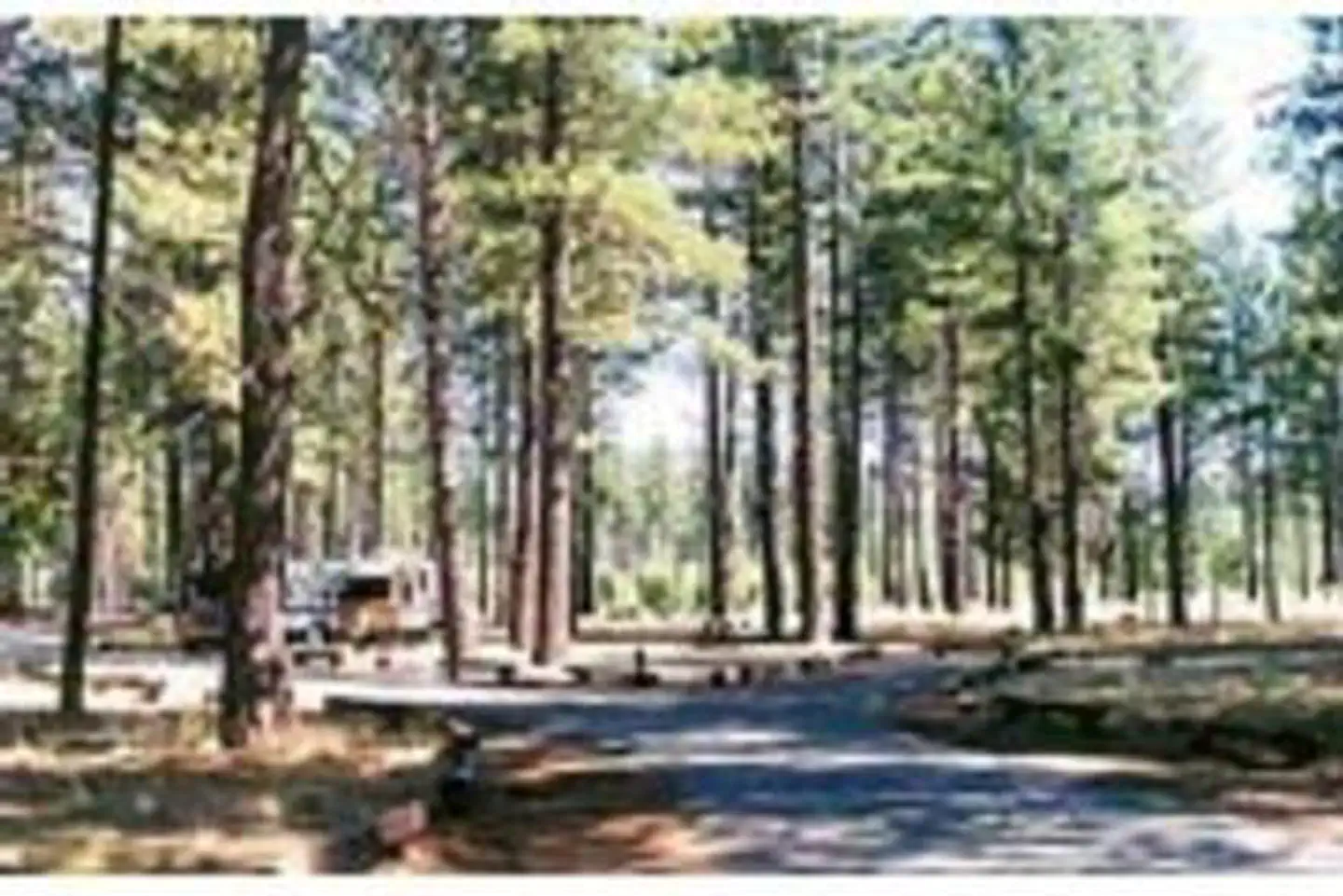 EAGLE CAMPGROUND photo 2
